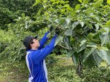 東京農業大学鈴村ゼミのファームステイを受け入れました