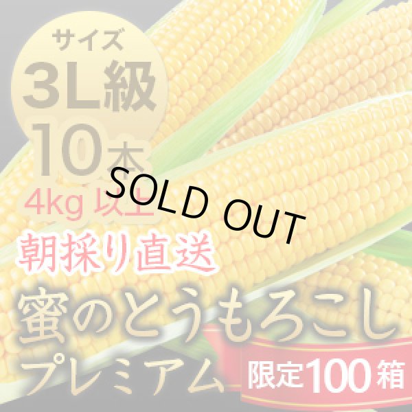 画像1: 信州産 朝取り直送 蜜のとうもろこし（ゴールドラッシュ）【3L級サイズ/10本】 (1)