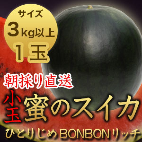 画像1: 信州産 朝取り直送 黒スイカ 小玉《ひとりじめBONBONリッチ》３kg以上サイズ【１玉】 (1)