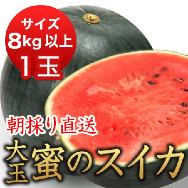 画像1: 信州産 朝取り直送 黒スイカ 大玉《タヒチ》８kg以上 大サイズ【１玉】 (1)