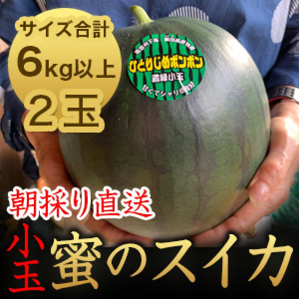 画像1: 信州産 朝取り直送 黒スイカ 小玉《ひとりじめBONBON》合計６kg以上サイズ【２玉】 (1)