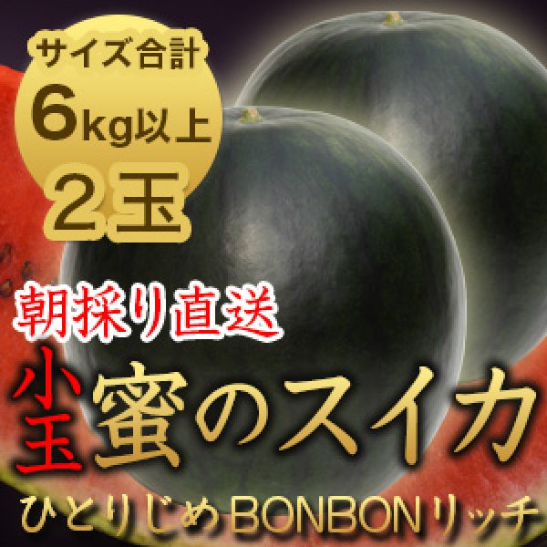画像1: 信州産 朝取り直送 黒スイカ 小玉《ひとりじめBONBONリッチ》合計６kg以上サイズ【２玉】 (1)