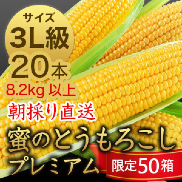 画像1: 信州産 朝取り直送 蜜のとうもろこし（ゴールドラッシュ）【3L級サイズ/20本】 (1)