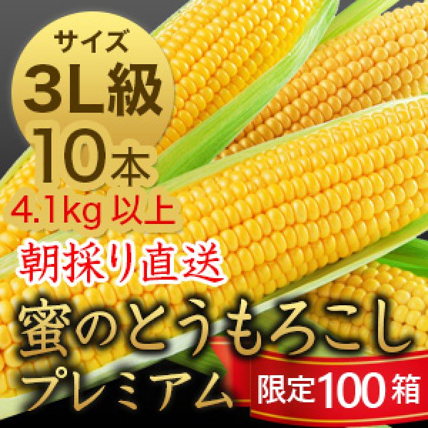 画像1: 信州産 朝取り直送 蜜のとうもろこし（ゴールドラッシュ）【3L級サイズ/10本】 (1)