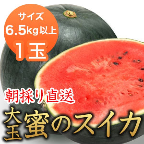 画像1: 信州産 朝取り直送 黒スイカ 大玉《タヒチ》6.5kg以上サイズ【１玉】 (1)