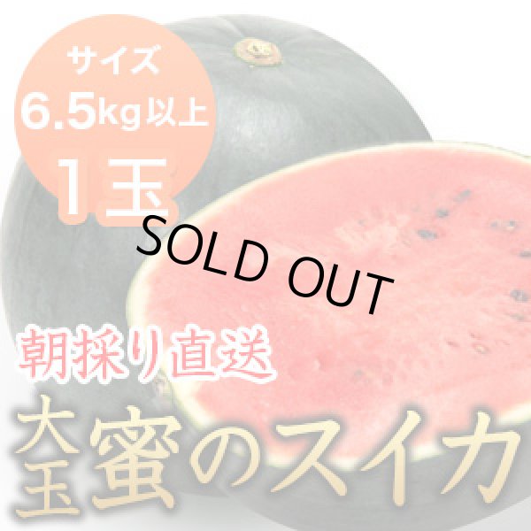 画像1: 信州産 朝取り直送 黒スイカ 大玉《タヒチ》6.5kg以上サイズ【１玉】 (1)