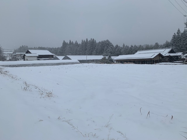 雪景色