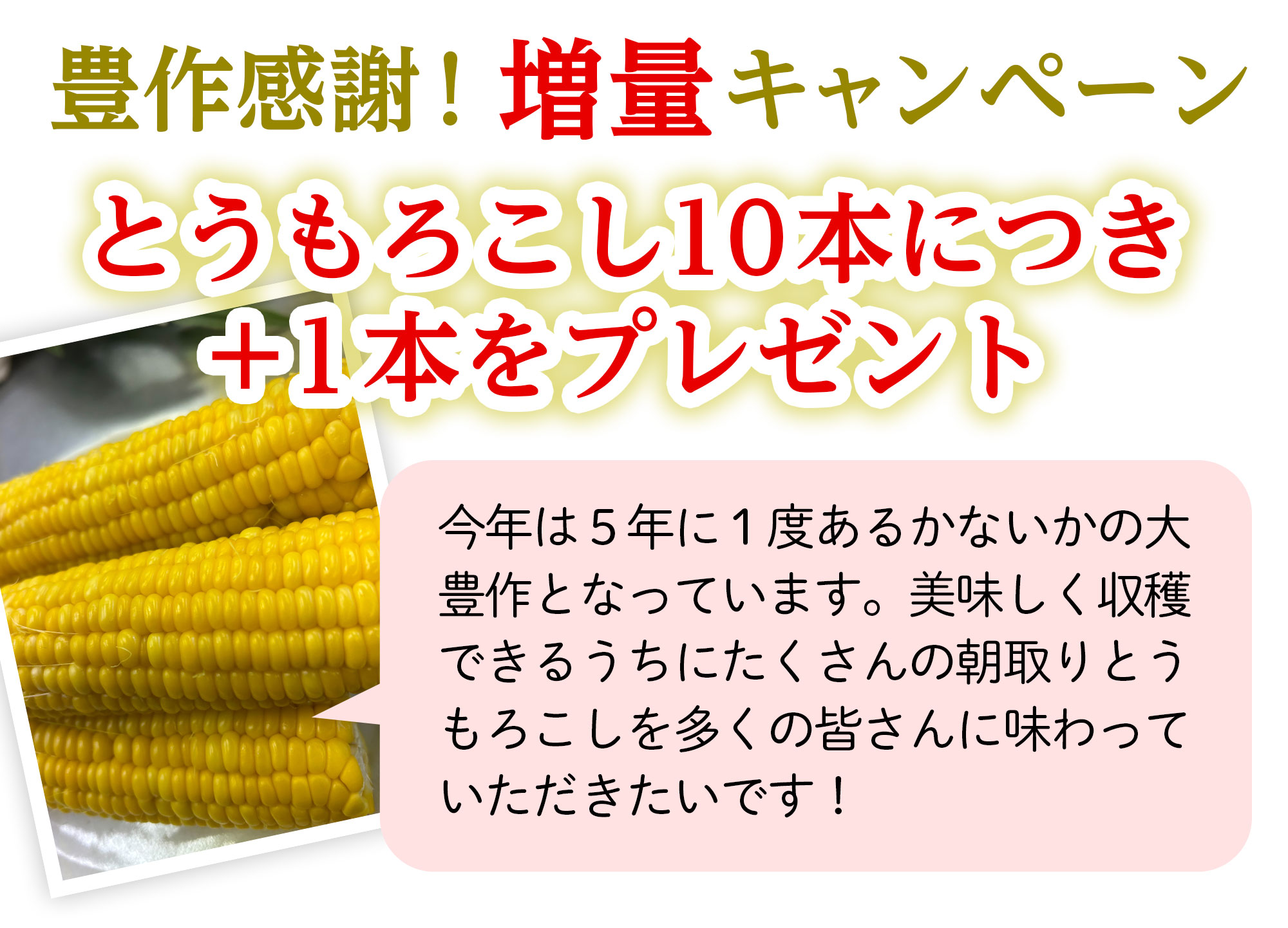 1本増量キャンペーン