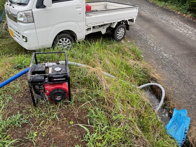 トウモロコシの潅水（水やり）作業