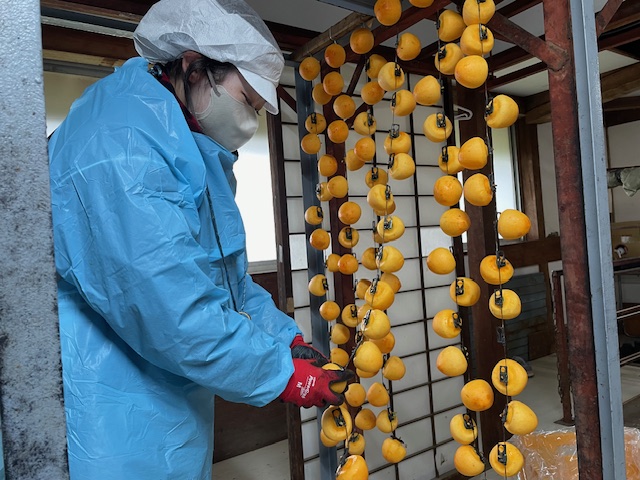 柿の吊るし作業を体験