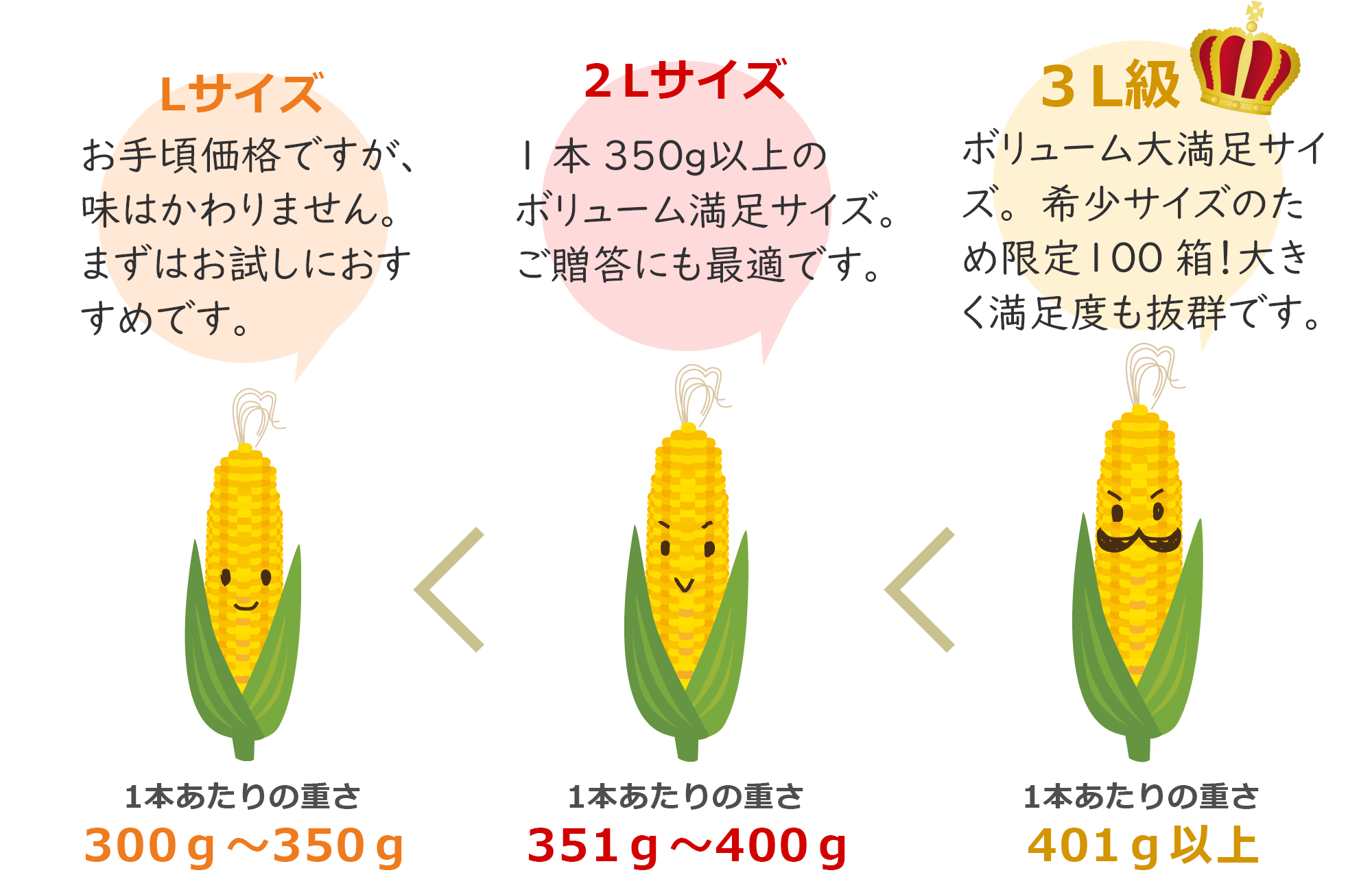 とうもろこしの大きさ比較