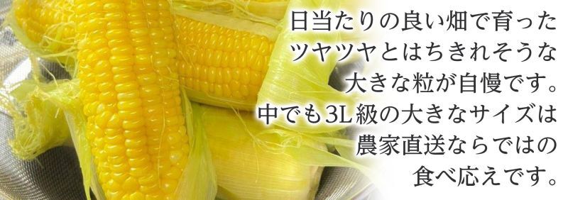 とうもろこし 通販