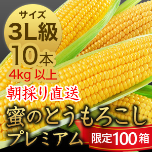 信州産 朝取り直送 蜜のとうもろこし（ゴールドラッシュ）【3L級サイズ/10本】